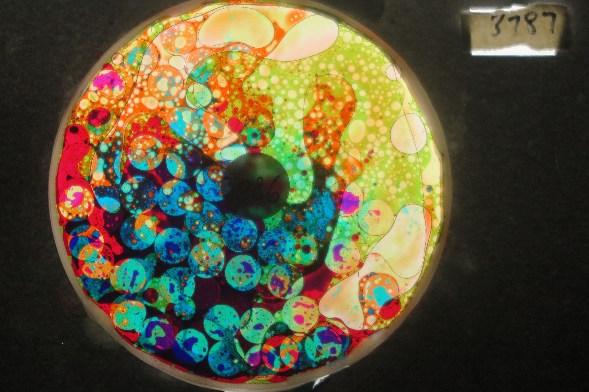 BV3787 bubble vision oil wheel